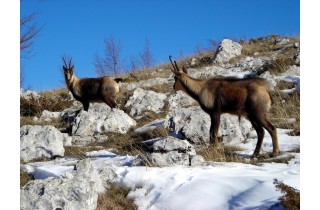 Sirente-Velino 1