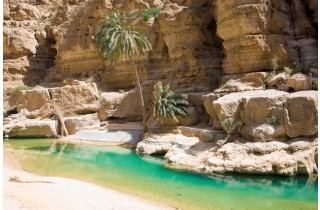 OM Wadi Shab