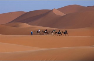 Marokko Sahara 5